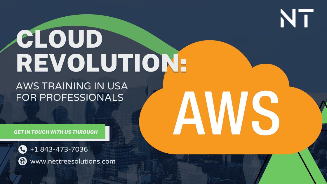 AWS training for Professionals in USA